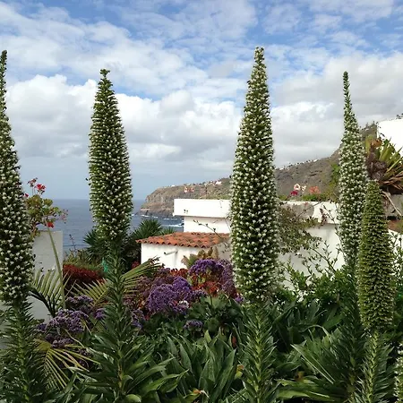 El Rincon Apartment